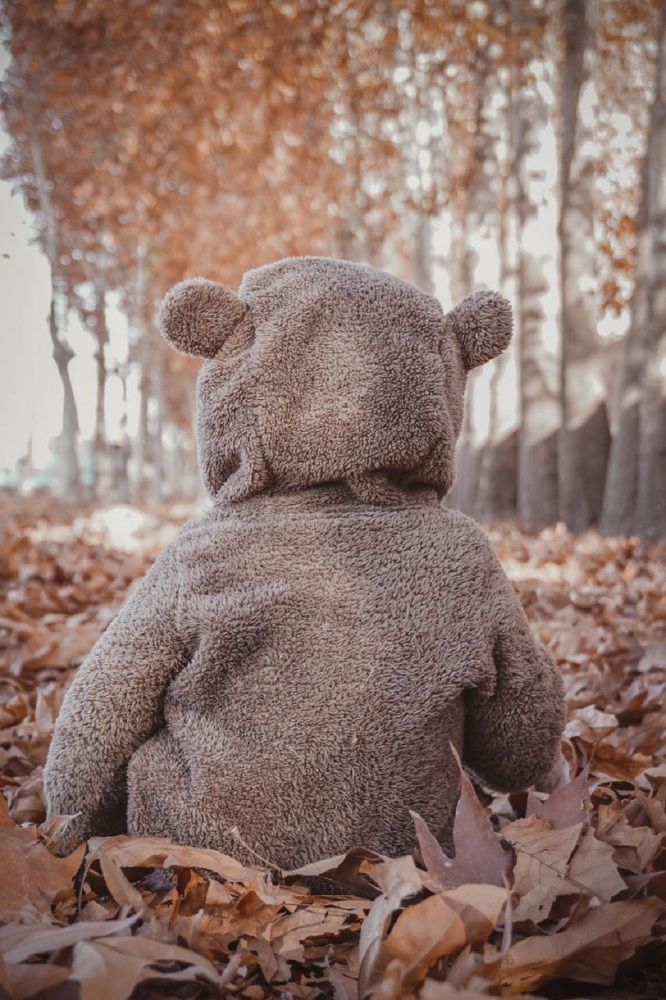 Photograph by zahra safari