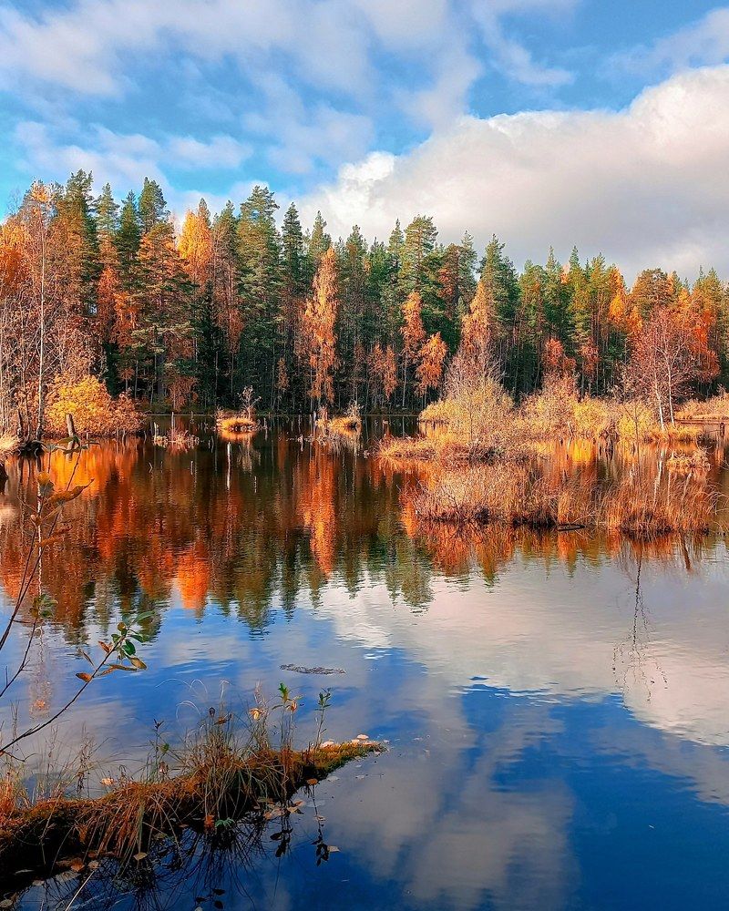 Photograph by Люда Яковлева