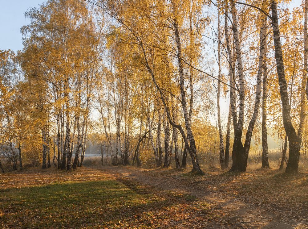 Фотография автора Ольга Бонина