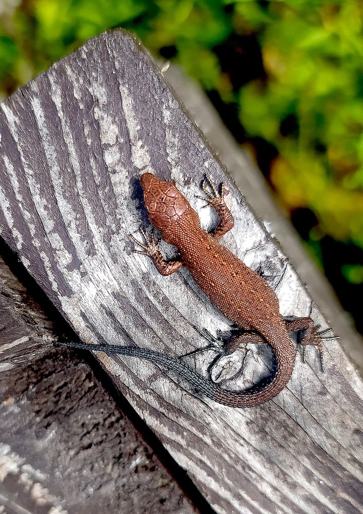 Photograph by Надежда