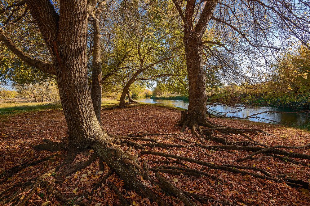 Photograph by Владислав Никишин