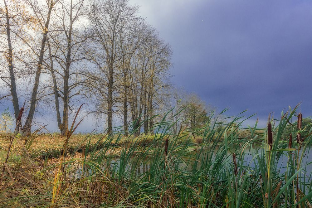 Photograph by Владислав Никишин