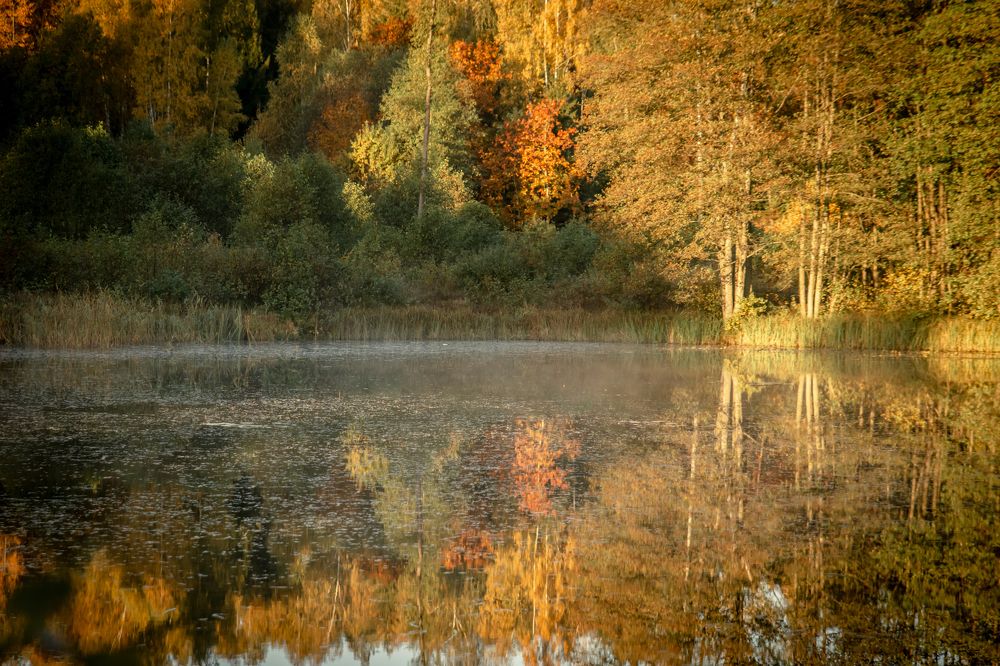 Photograph by Zaneta B