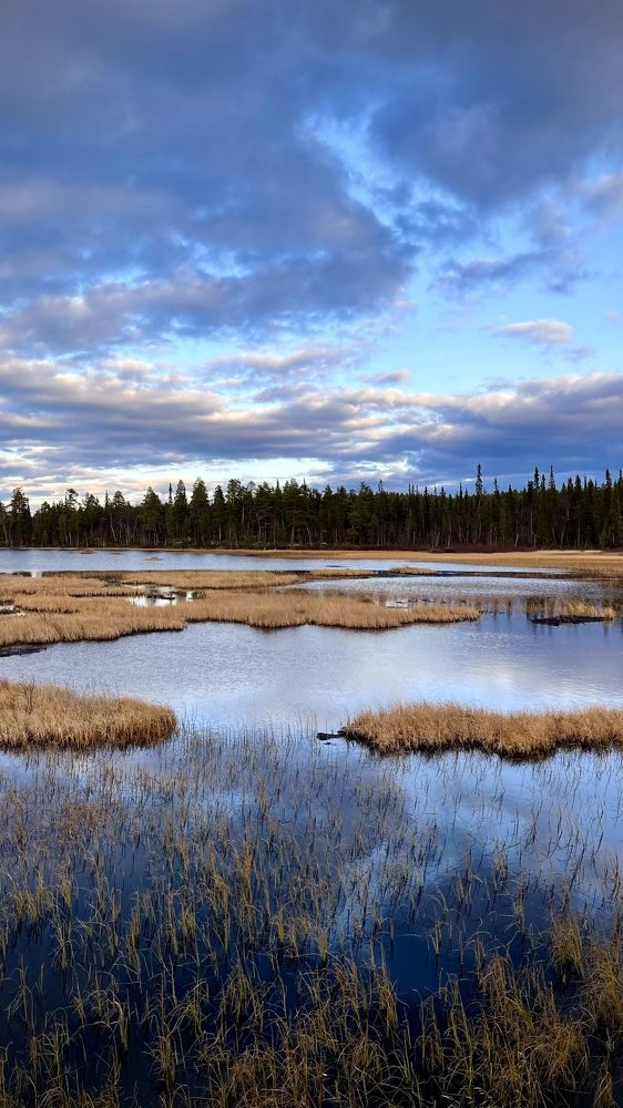 Фотография автора Юлия Шумейко
