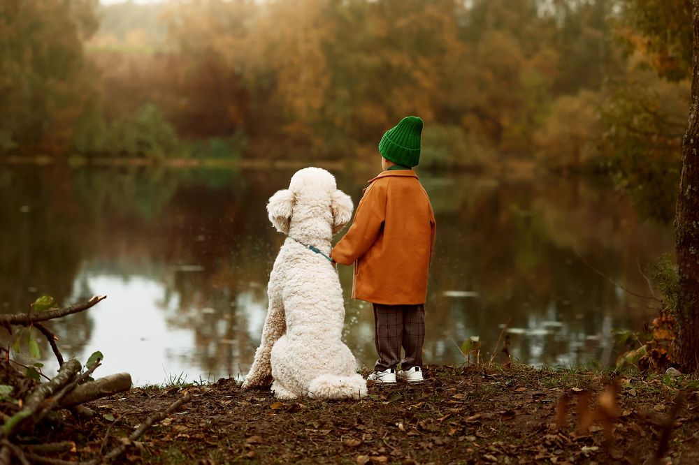 Фотография автора Регина Гущина