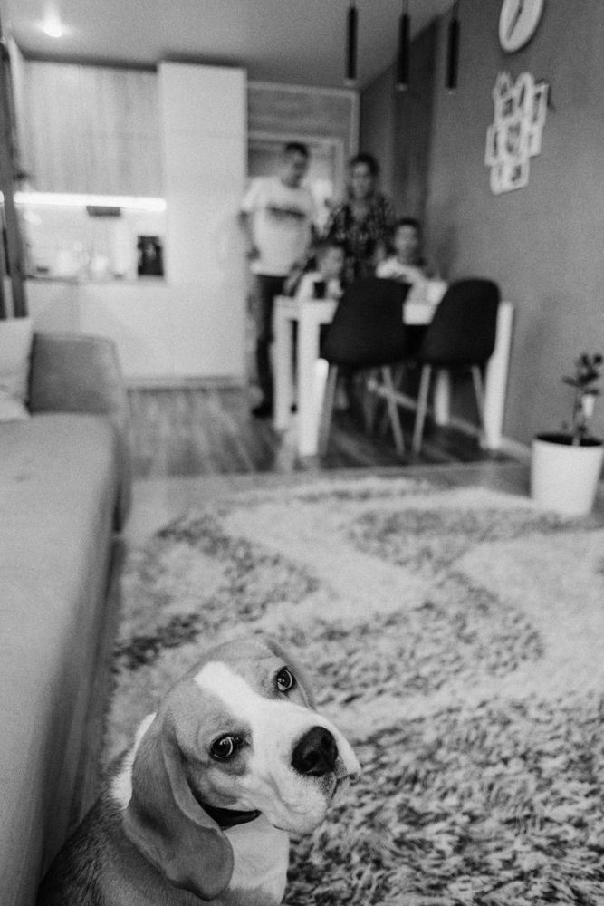 Photograph by Ксения Крупская