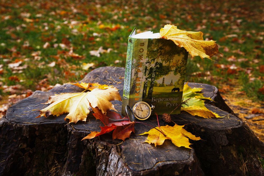 Photograph by Анатолий Протасов