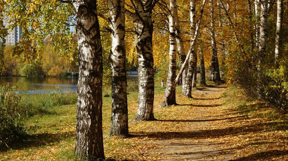 Photograph by Блюмина Елена