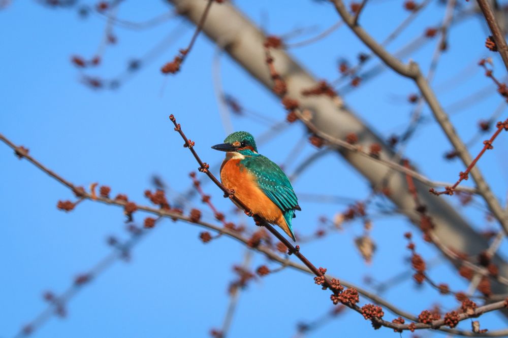 Photograph by George Alexandru Ghiuro