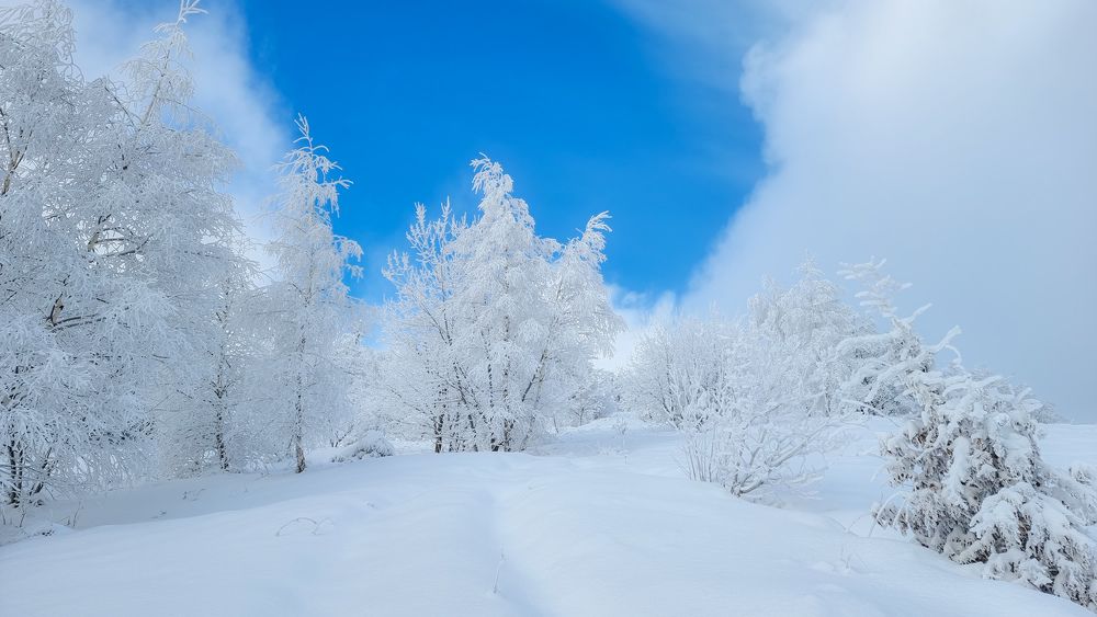 Photograph by George Alexandru Ghiuro