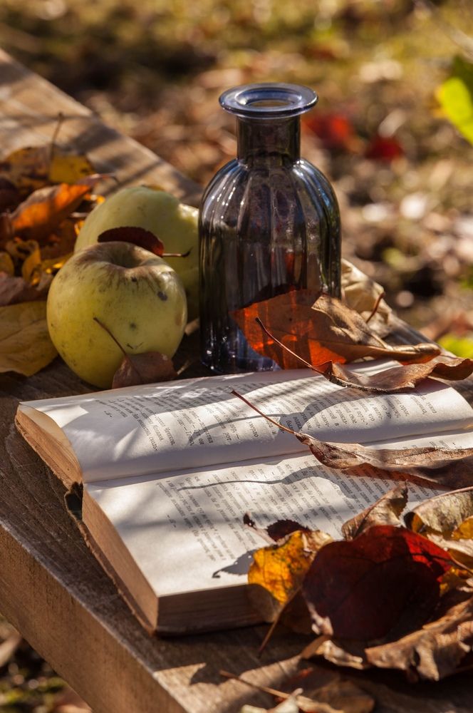 Photograph by Кира Орлова