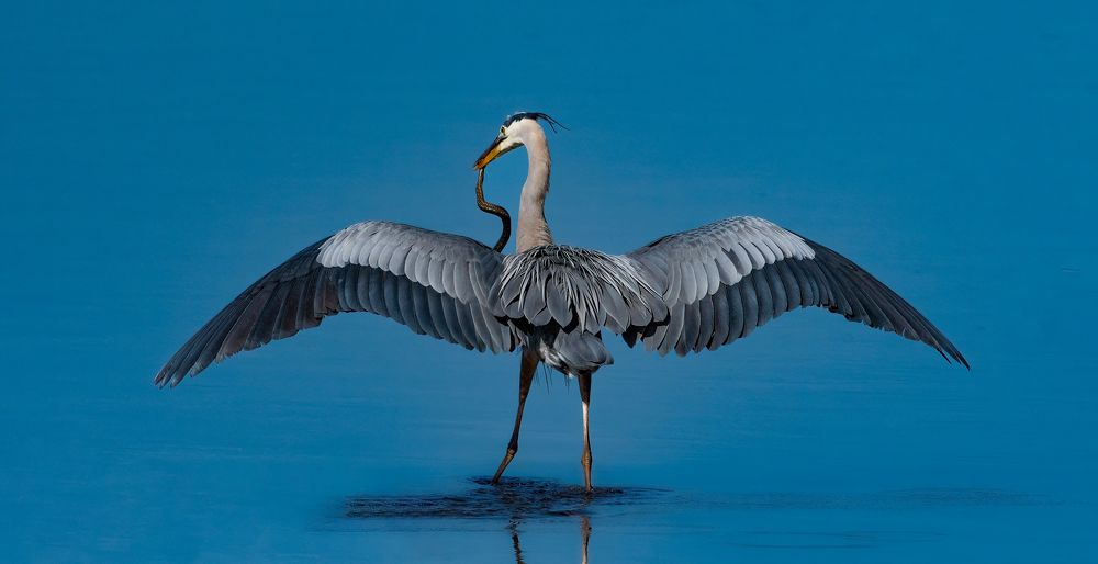 Photograph by Guy Wilson