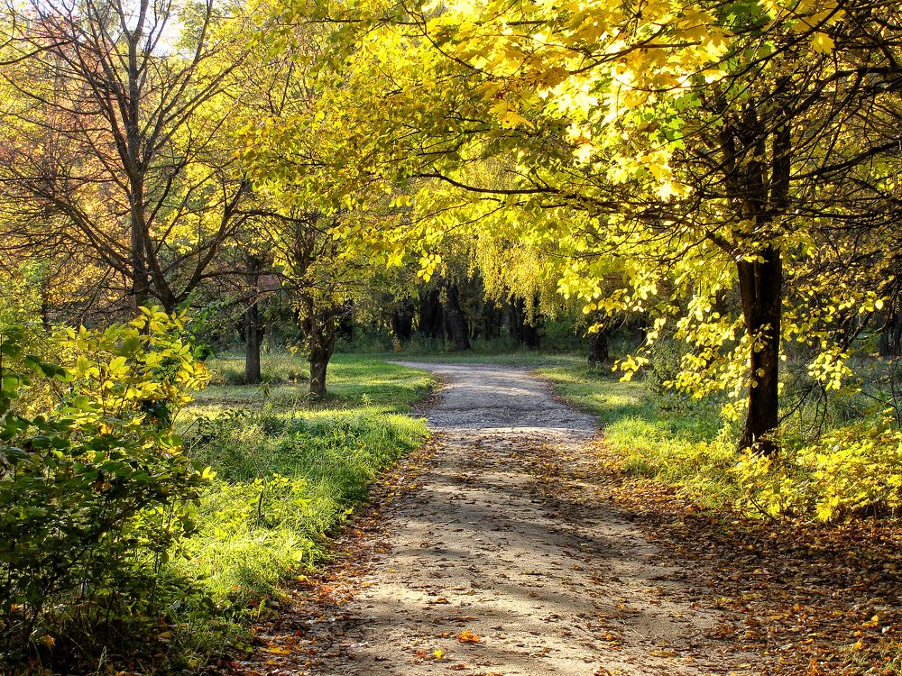 Photograph by Павел Колеснев