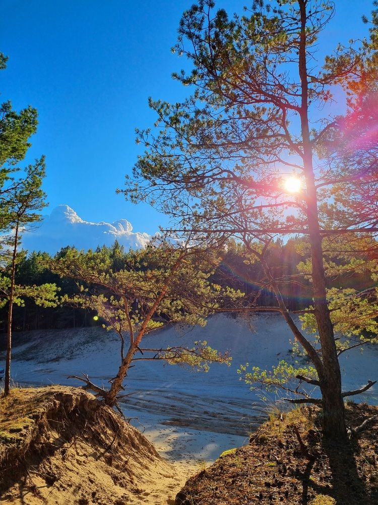 Photograph by Anastasija Petjko