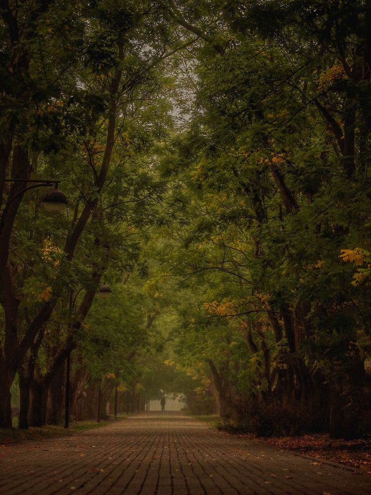 Photograph by Владимир Кульбит