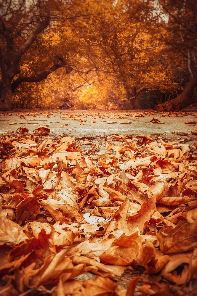 Photograph by Alexandra Sergeeva