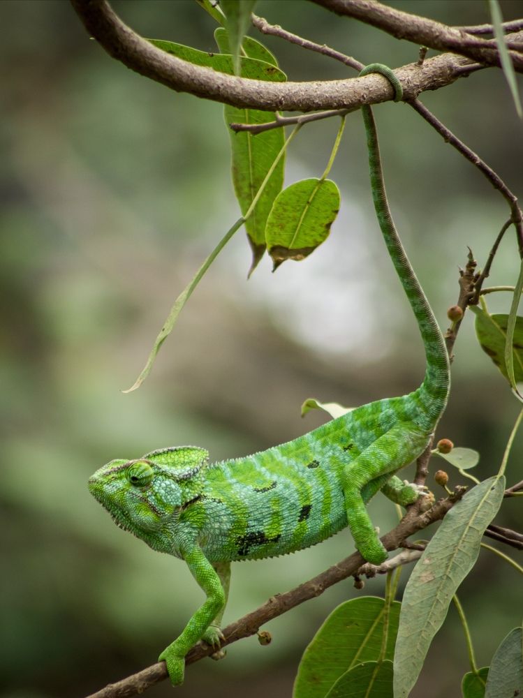 Photograph by AMARDEEP SINGH