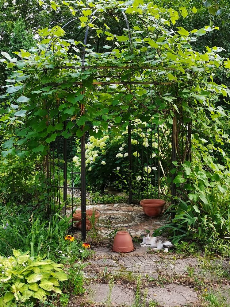 Photograph by людмила