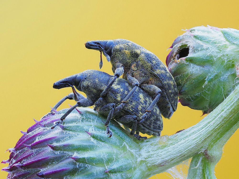 Photograph by Лукашук Евгений