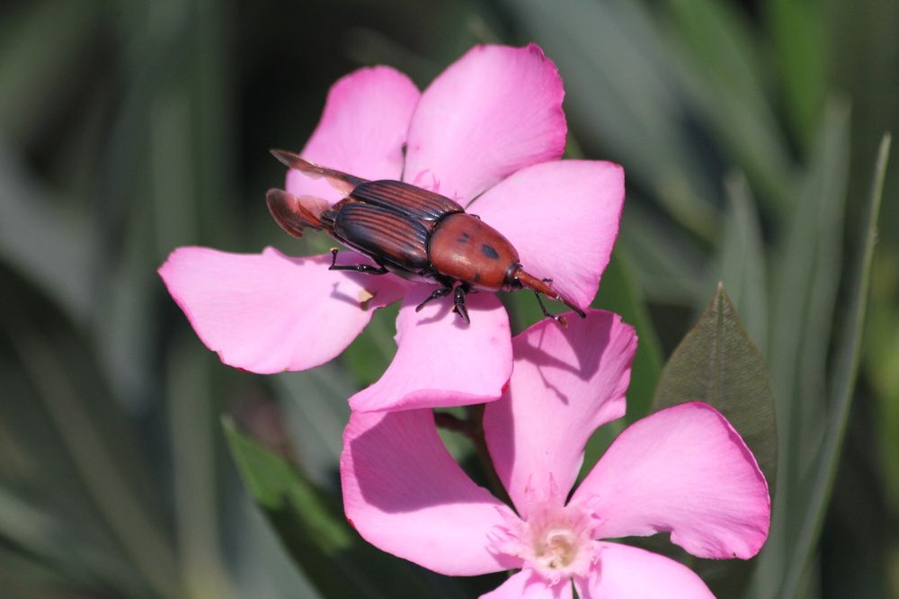 Photograph by Nadzeya