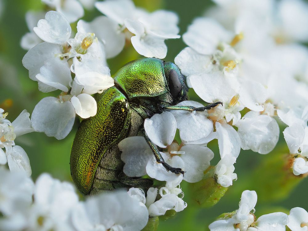 Photograph by Лукашук Евгений
