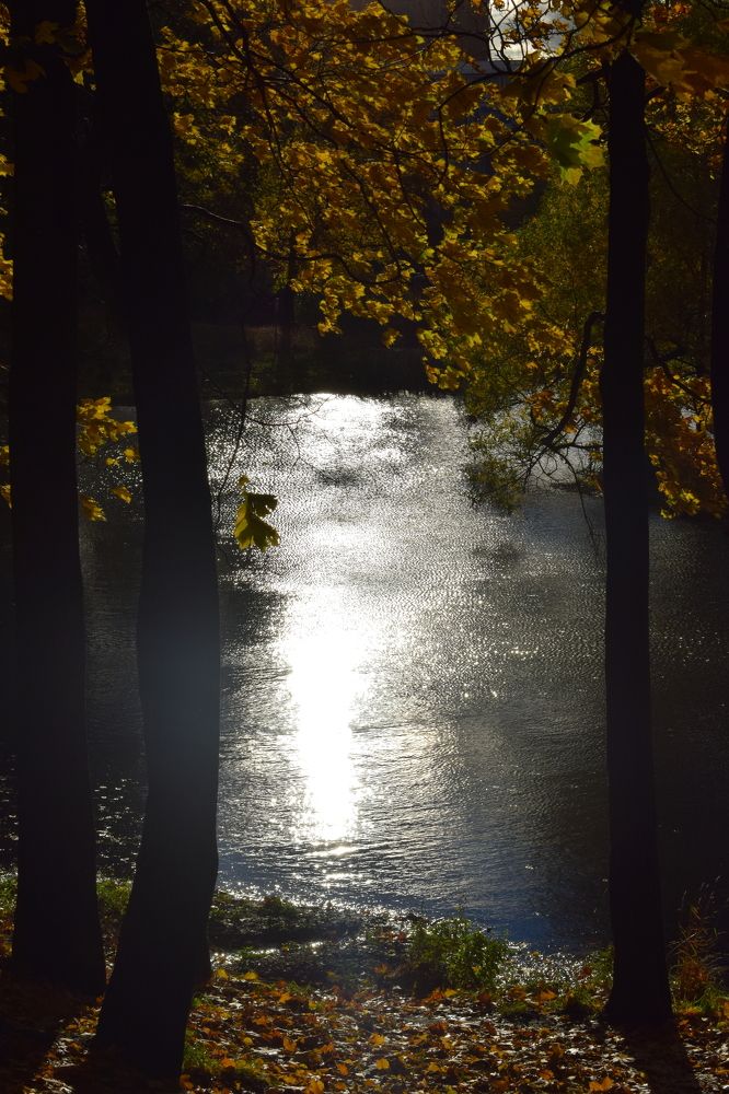 Photograph by Юлия Нечаева