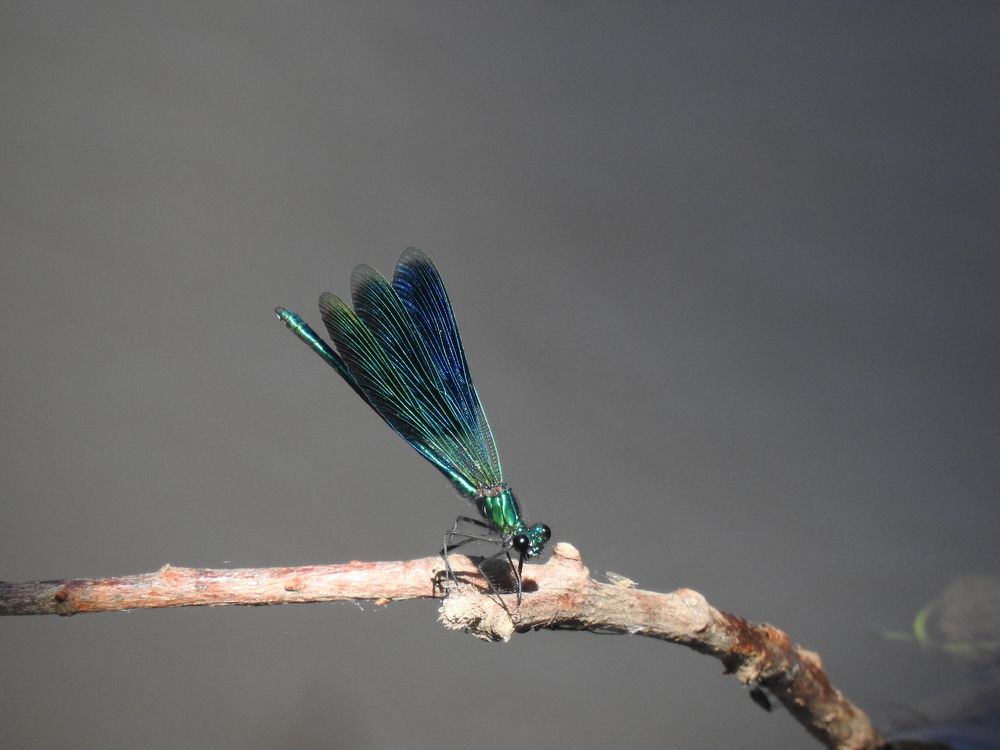 Photograph by Георгий Салюков