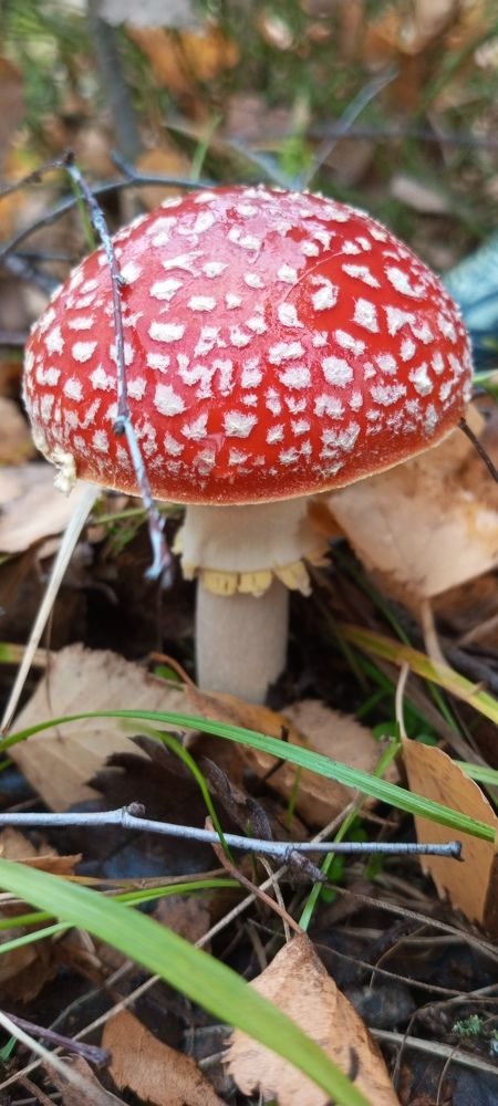 Photograph by Галина Худобина