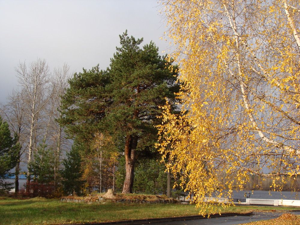 Photograph by Николай Худяков