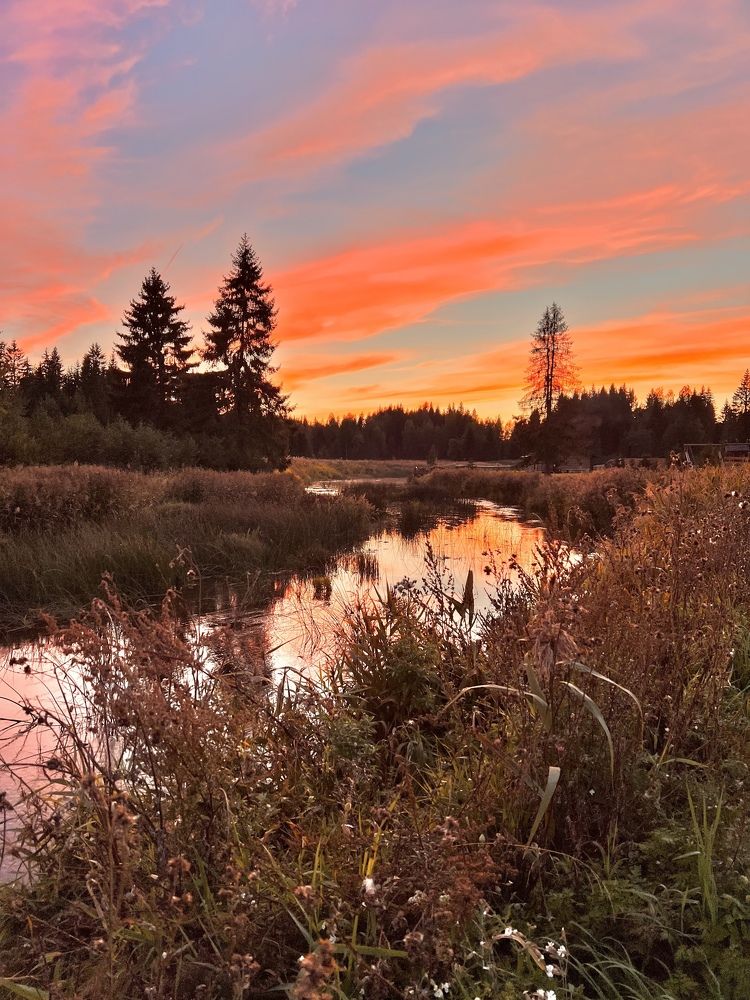 Photograph by Елена Ковалева