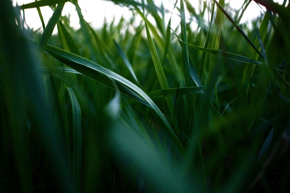 Photograph by Виктория Эверстова