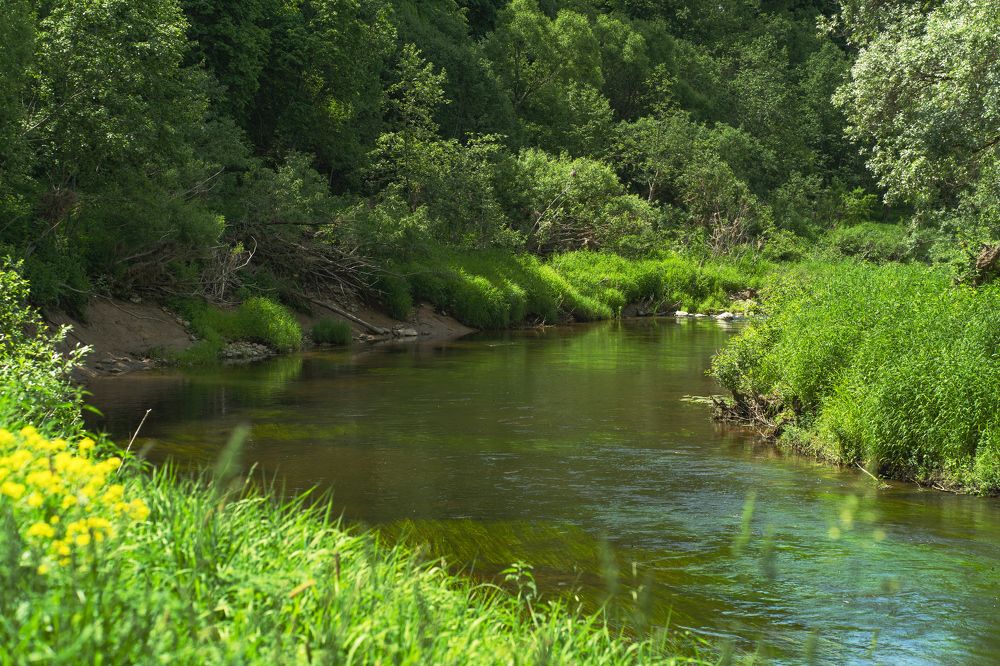 Photograph by Галина Искандарова