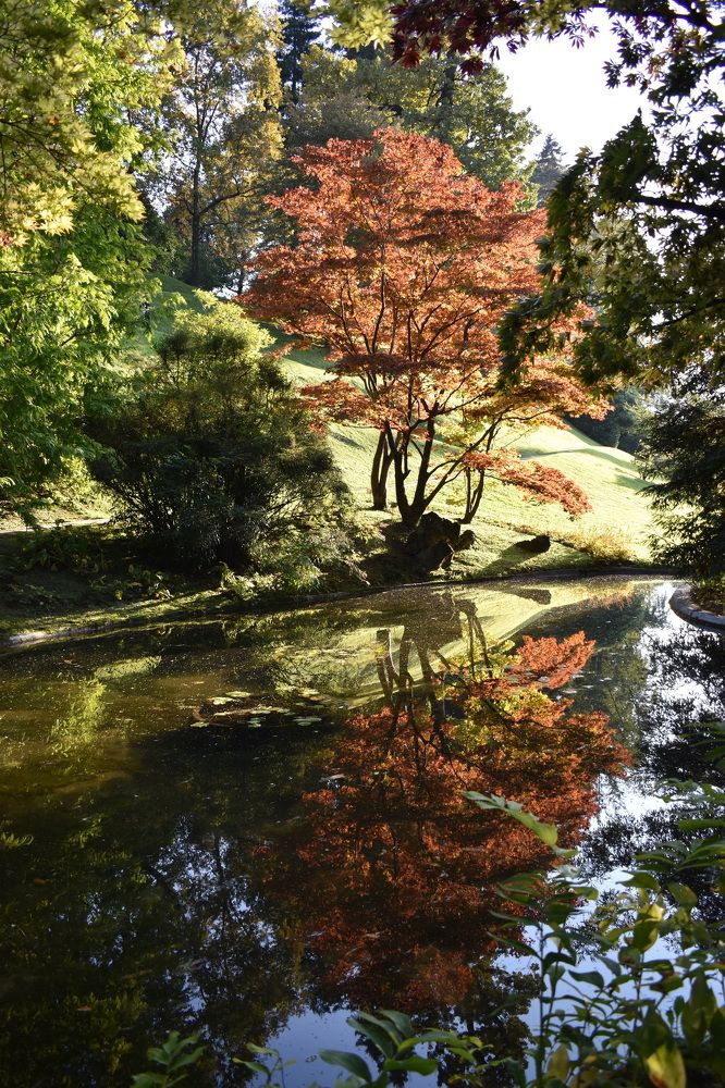 Photograph by Ilona Virse