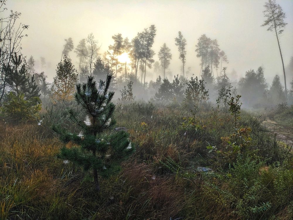 Photograph by Lavlad L