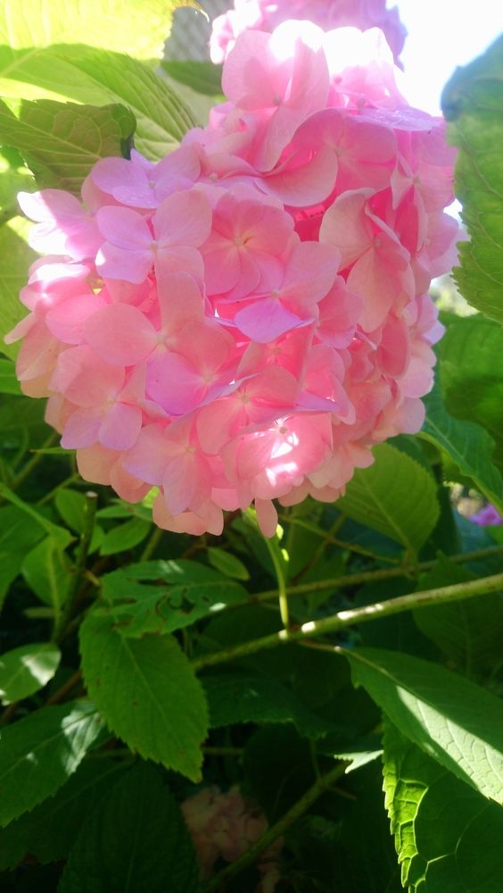 Photograph by Людмила Максименко