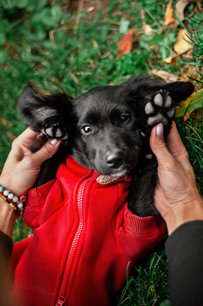 Photograph by Татьяна Степанова