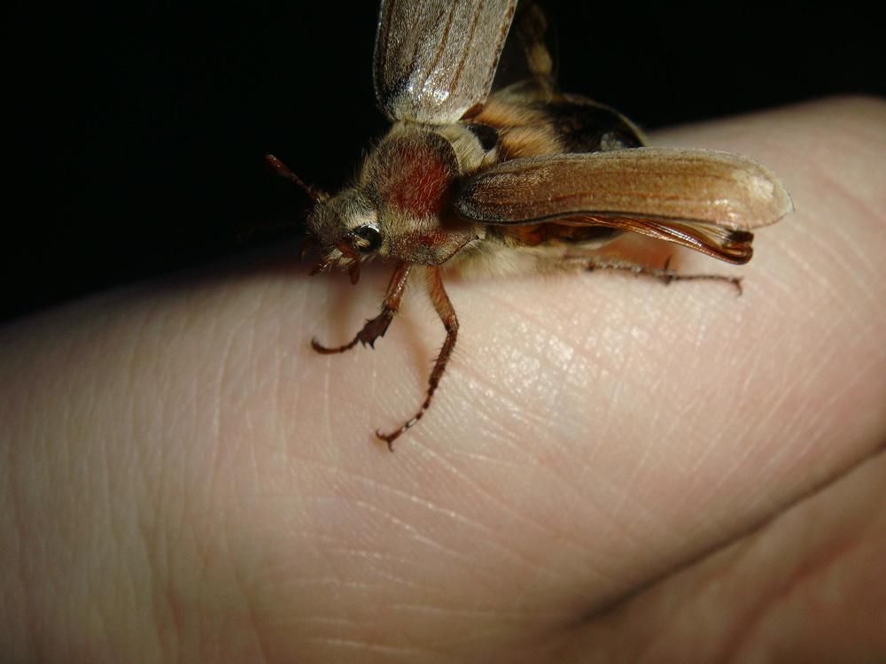 Фотография автора Алёна Сухарева