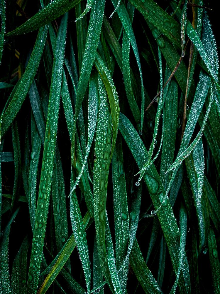 Photograph by Мария Акимова