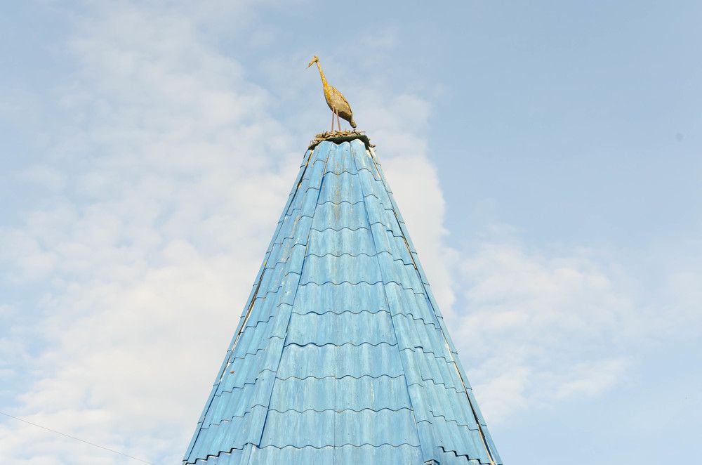 Photograph by Irina Rudneva