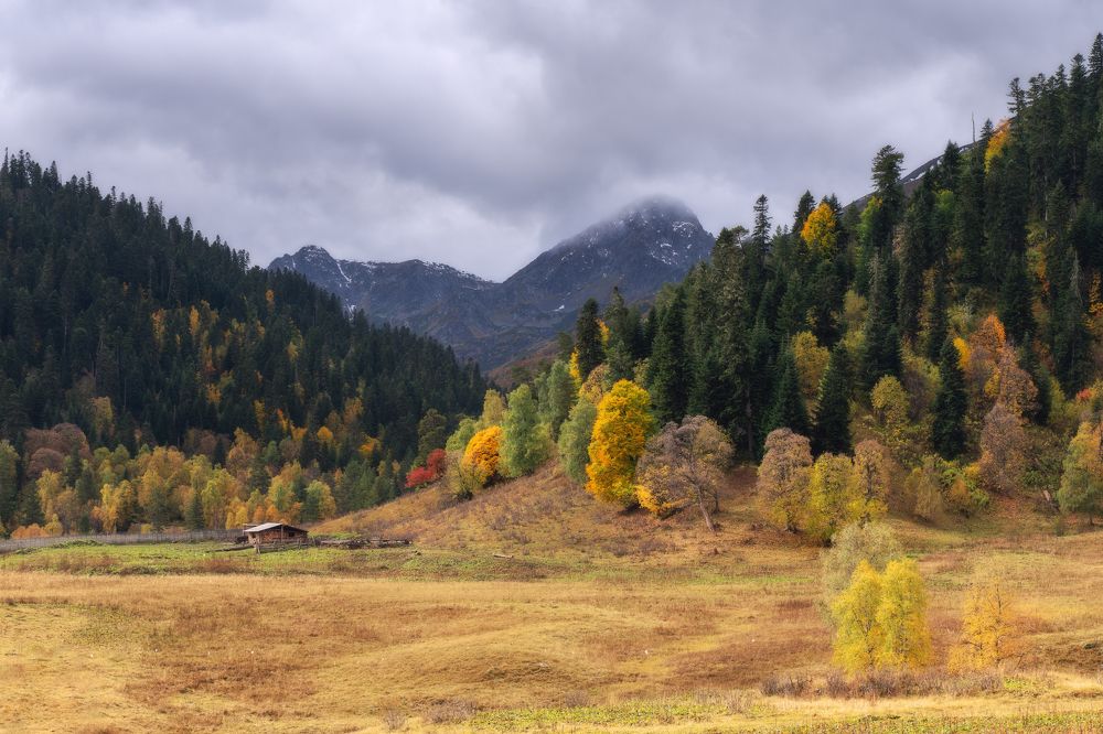 Photograph by Юлия Мальцева