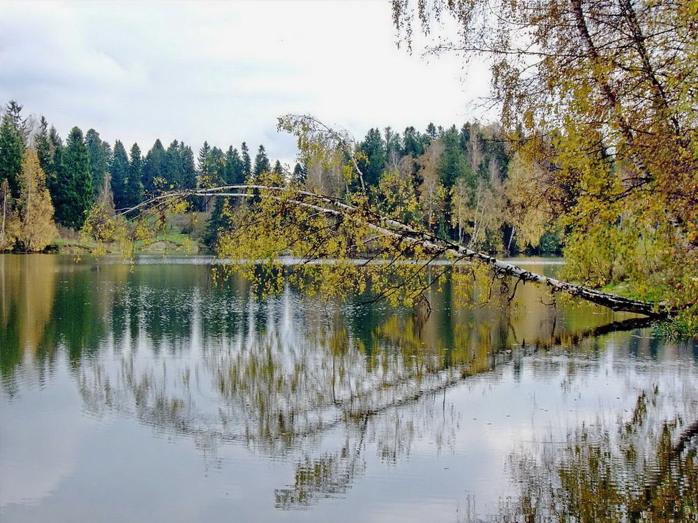 Photograph by Игорь Меньшенин