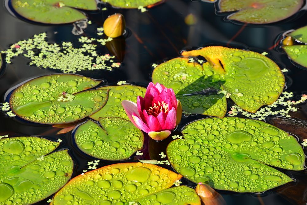 Photograph by Дмитрий Юдин