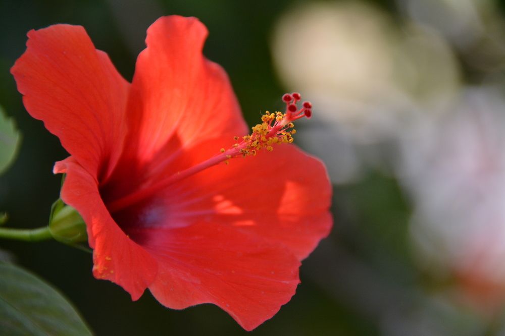 Photograph by Светлана Ткаченко