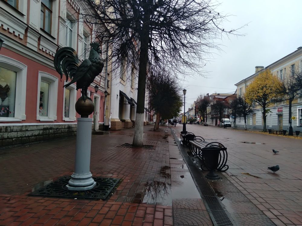 Photo #8206888