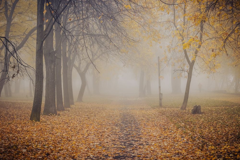 Photograph by Натали Кытманова