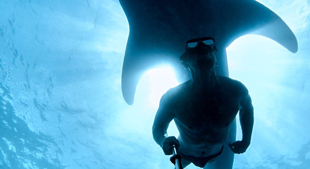 Селфи с акулой.