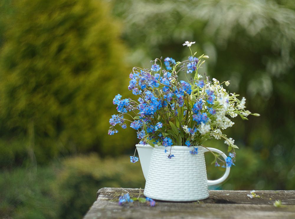 Photograph by Татьяна Александрова