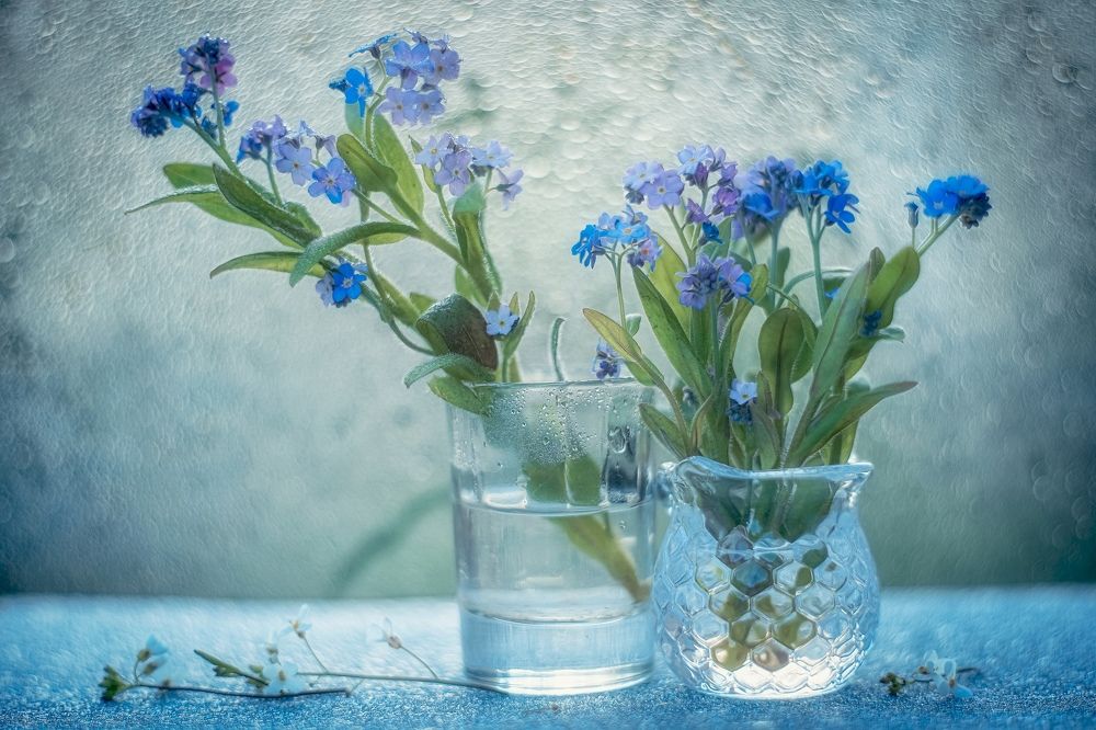 Photograph by Татьяна Александрова