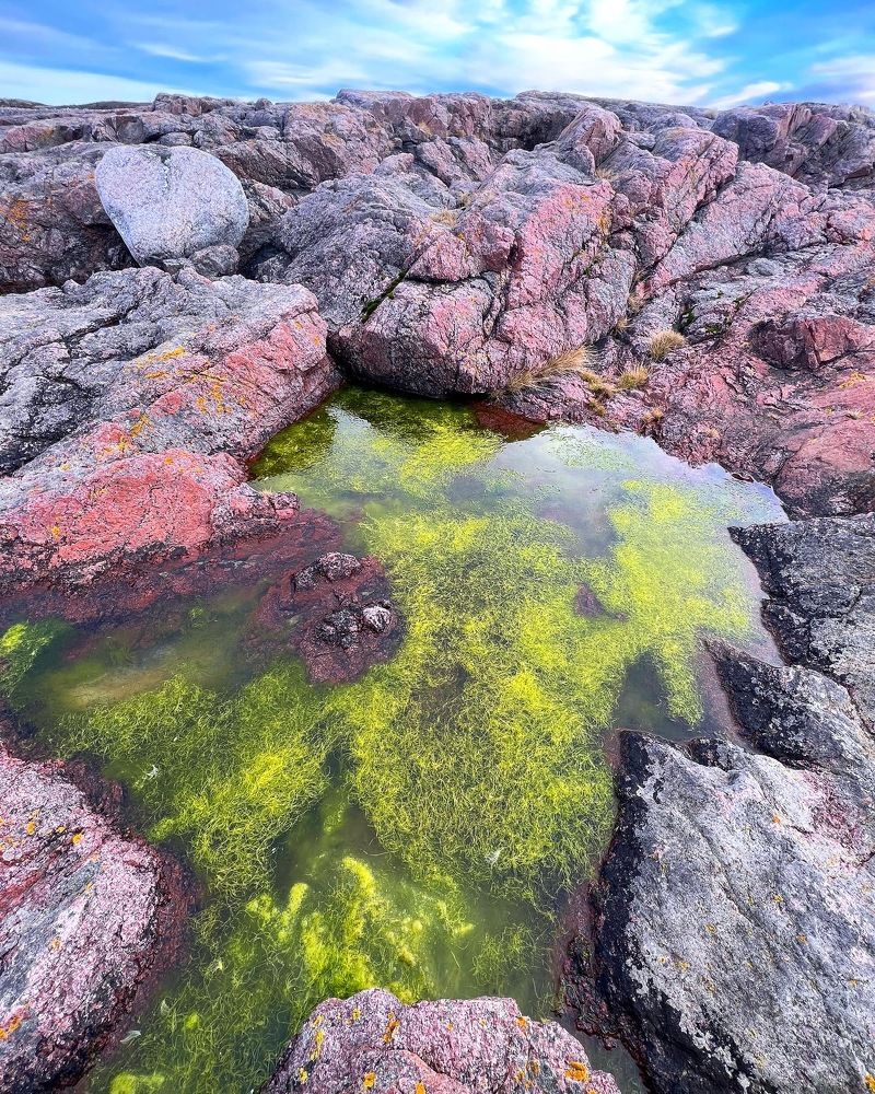 Photograph by Александра Акси