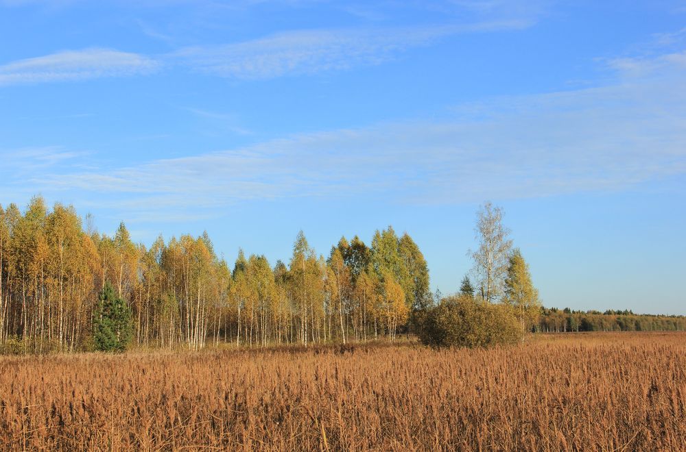 Photograph by Волкова Владимира